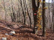 10 Sul sent. 234 colorato d'autunno